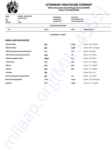 Medical Report
