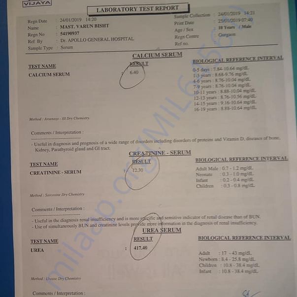 Medical Report