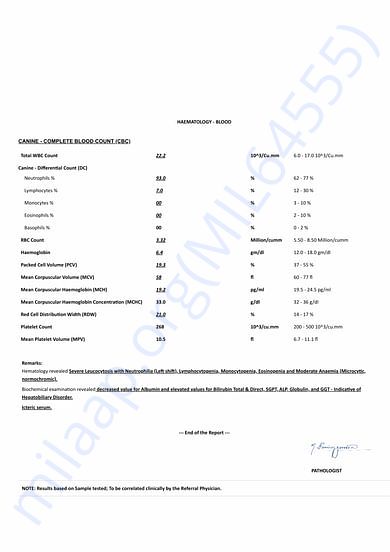Medical Report Nov 2018