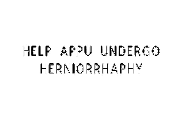 Help Appu Undergo Herniorrhaphy