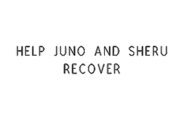 Help Juno And Sheru Recover