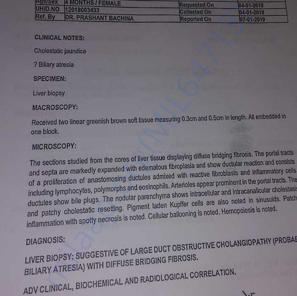 Medical Report
