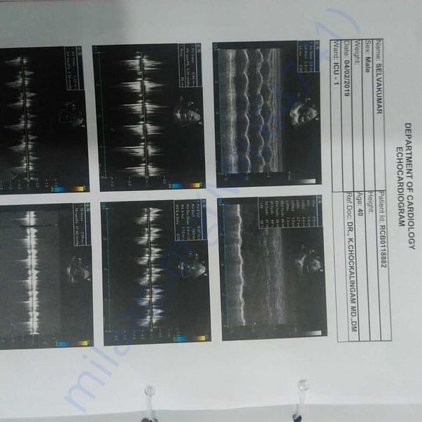 Medical Report