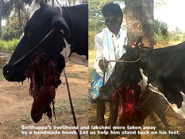 Support Sotthappa Gowda Stand Back On His Feet