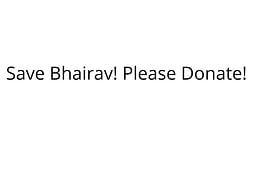 Save 'BHAIRAV', Please Donate and Save His Life.