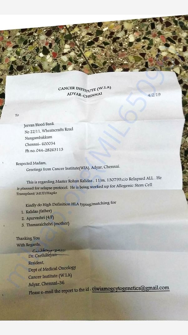 HLA test recommended letter
