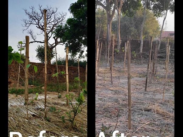 Funds required to conserve Miyawaki Forests from Animal Attacks