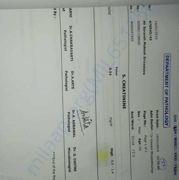 Medical Report