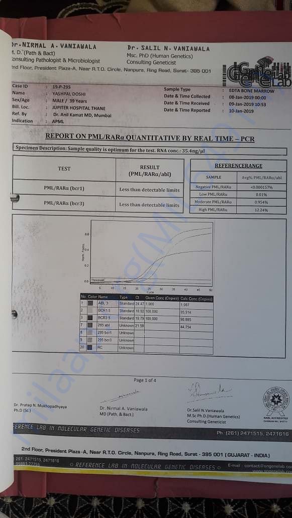 Report on PML / RAR