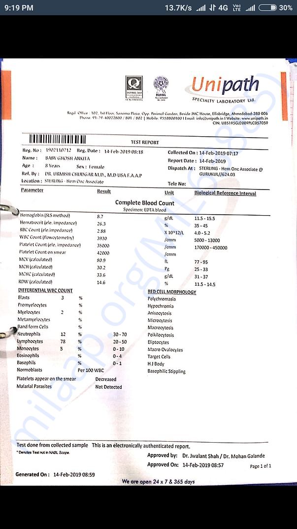 Blood Report