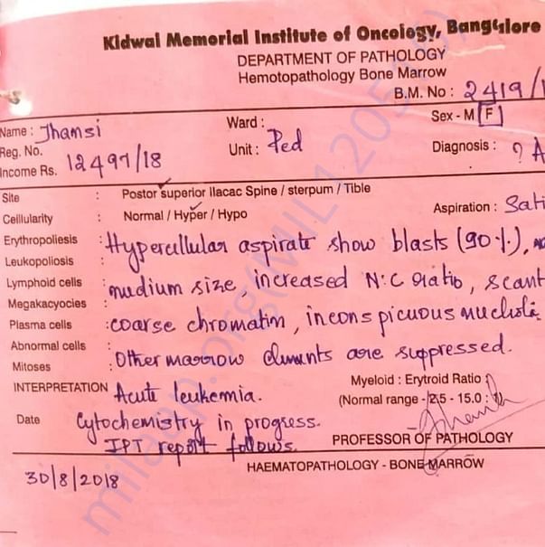 Medical Report