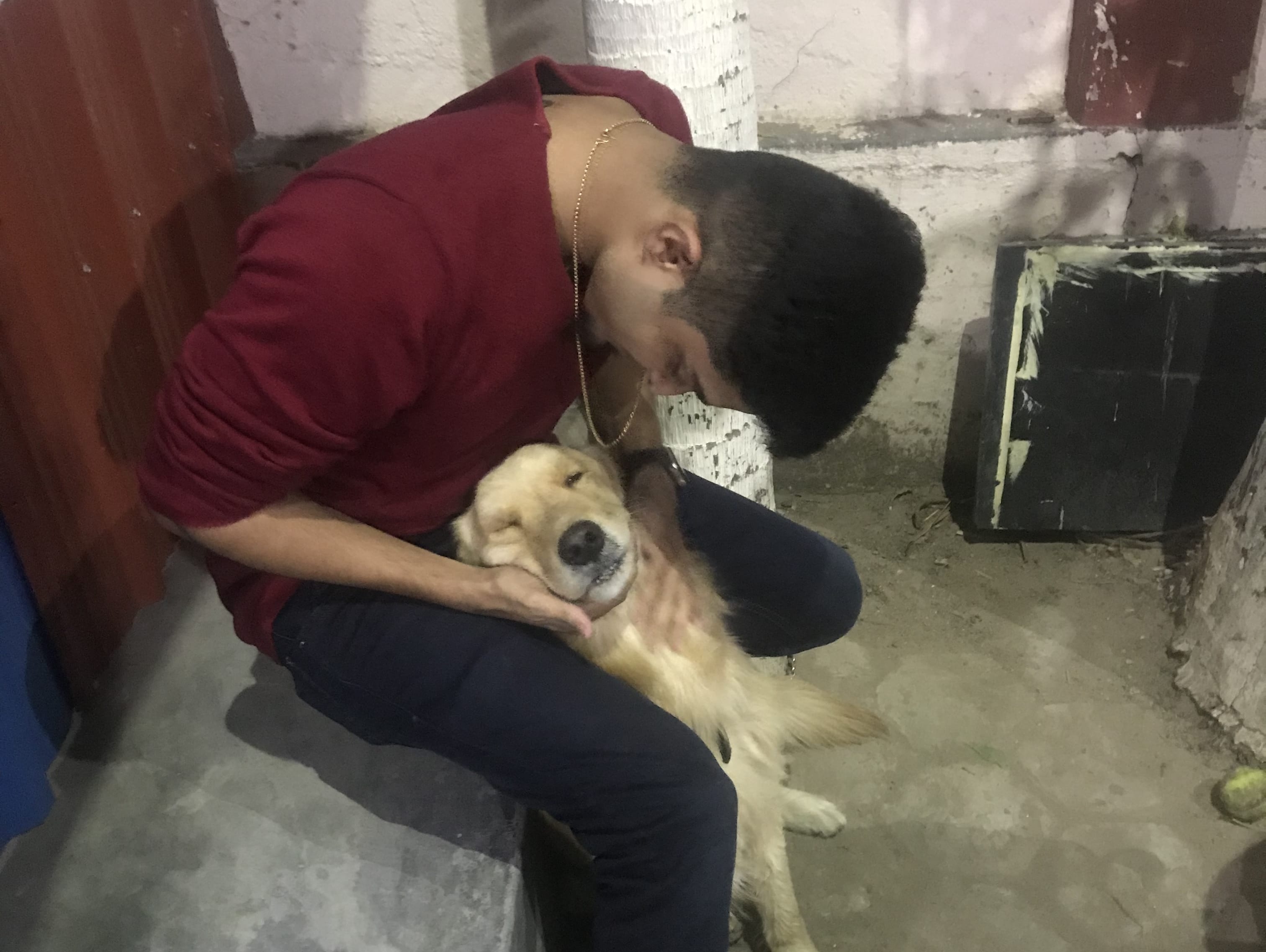 Help Me Feed Innocent Animals Milaap Facebook hack online facebook password sniper. help me feed innocent animals milaap