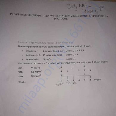 Medical Report