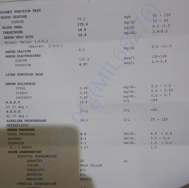 Medical Report