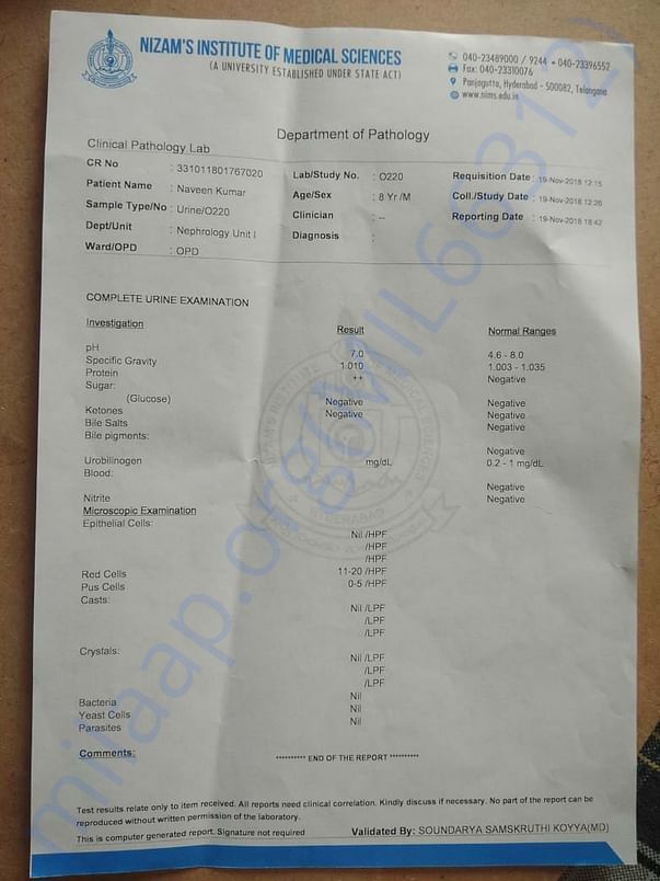 Naveen Report