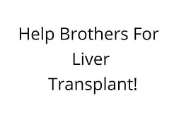Help Brothers For Liver Transplant!
