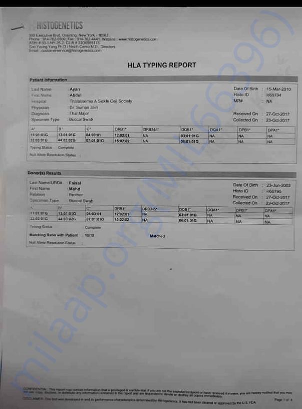 Hla report