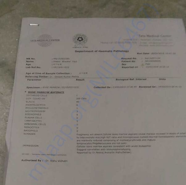 Medical Report