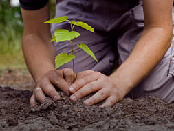 Project Green Kurnool District to help farmers and to protect earth