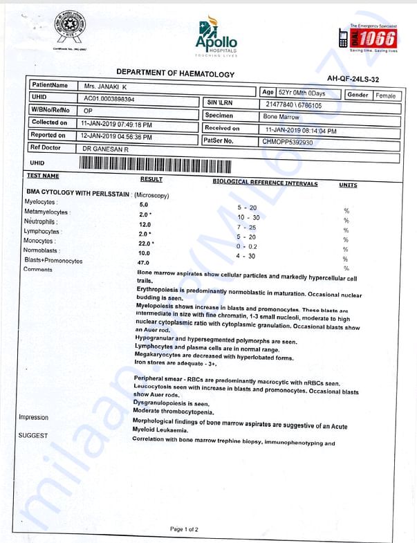 BMA CYTOLOGY REPORT