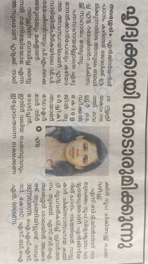 Newspaper