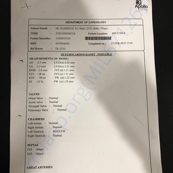 Medical Report