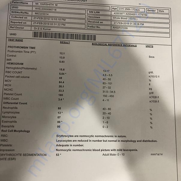 Medical Report