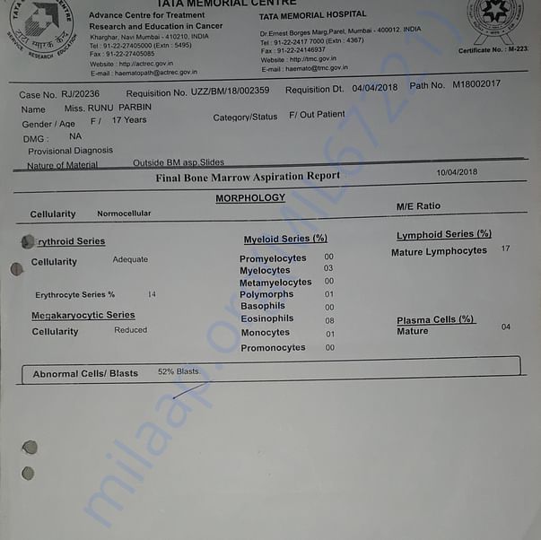 Medical Report