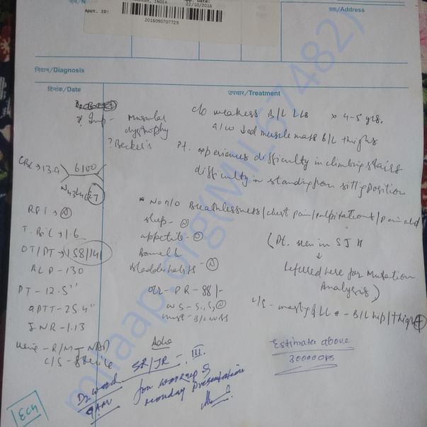 Estimation Letter