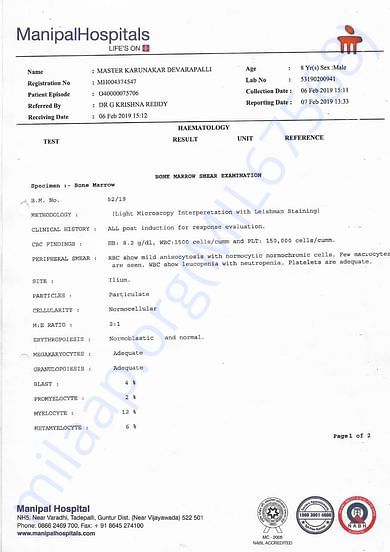 HEMATOLOGY REPORT 2