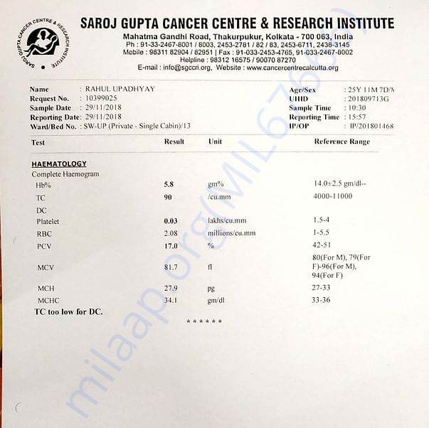 Medical Report