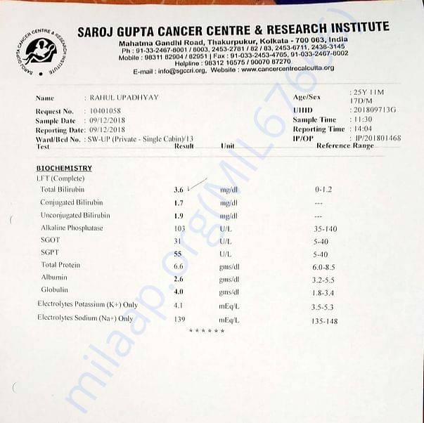 Medical Report