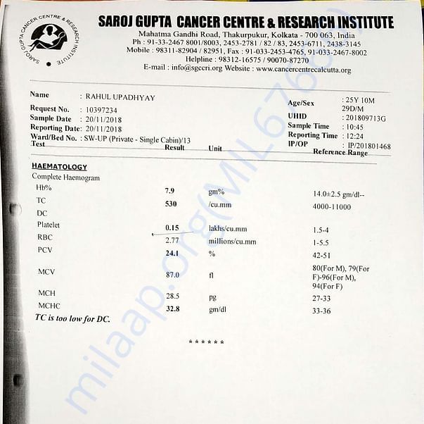 Medical Report