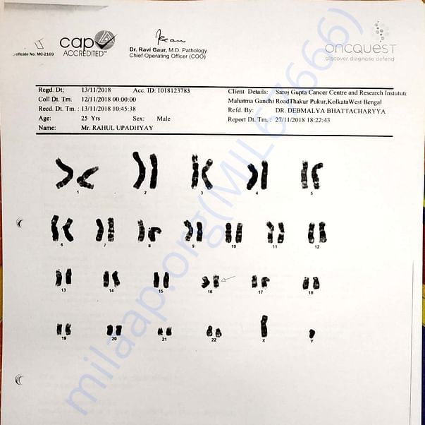 Medical Report