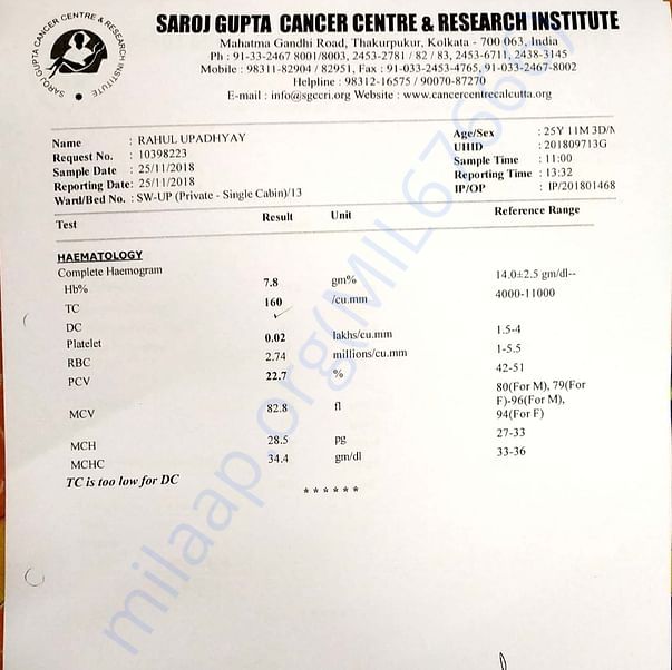 Medical Report