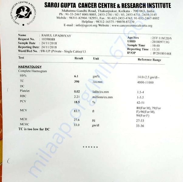 Medical Report