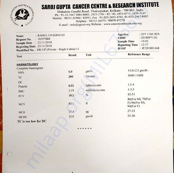 Medical Report