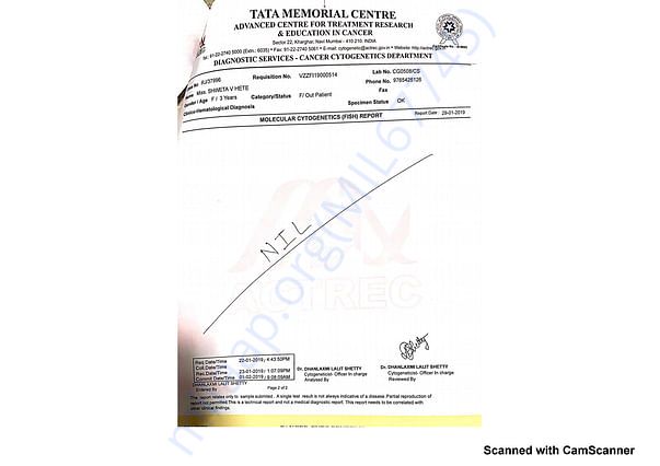 Medical Report