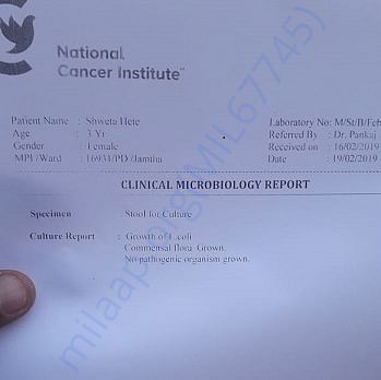 Medical Report