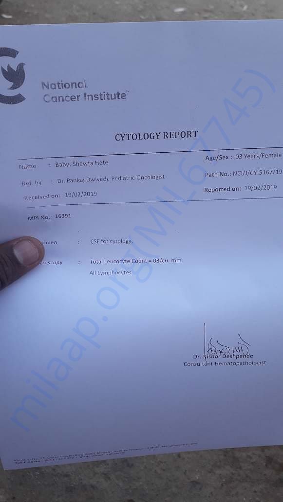 NCI Report