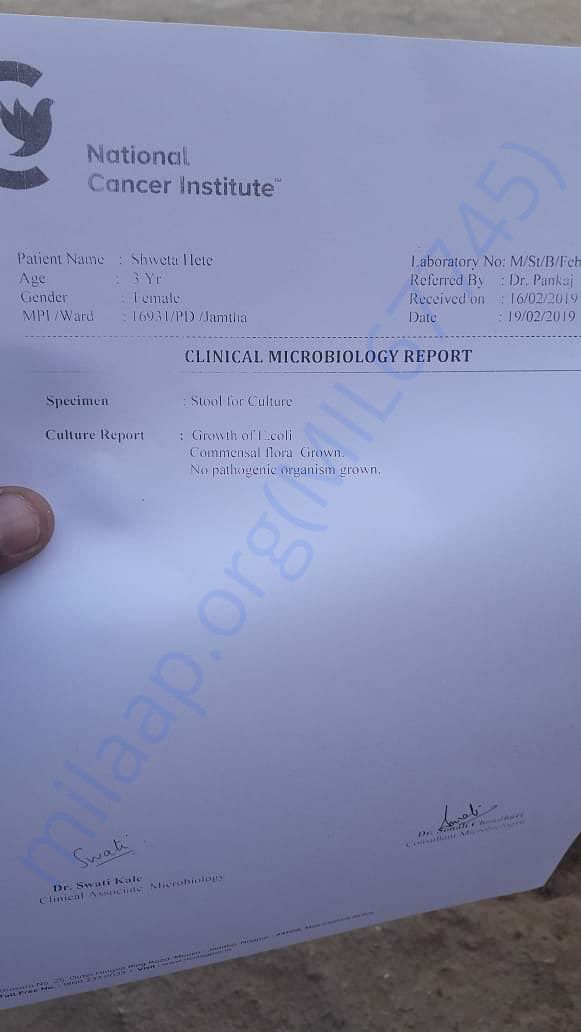 NCI Report