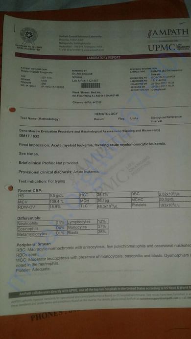 Acute Myloied leukemia confirm test