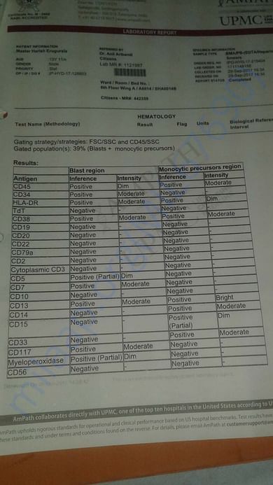 Different CD cells test