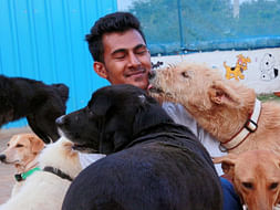 Support Haris Ali to rescue more animals in need