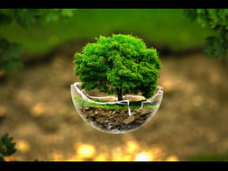 Water - Nature Conservation