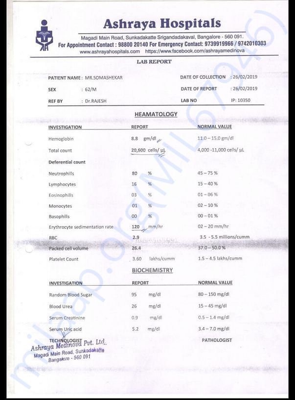 Blood report