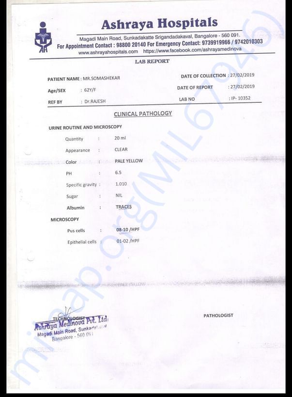 Pus cells report