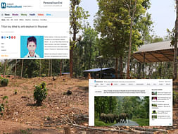 Save Our Children And Project Center From Wild Animals