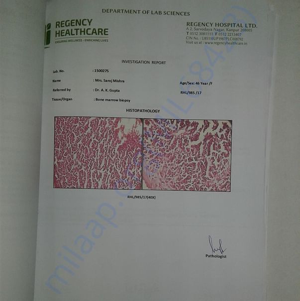 Medical Report