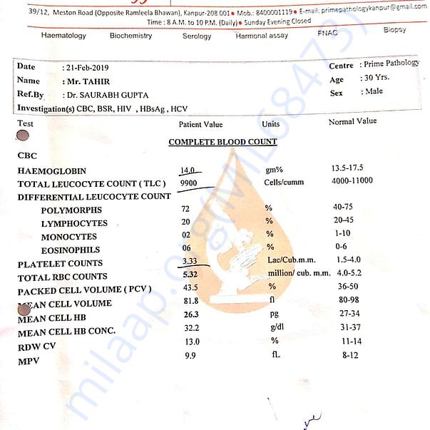Medical Report